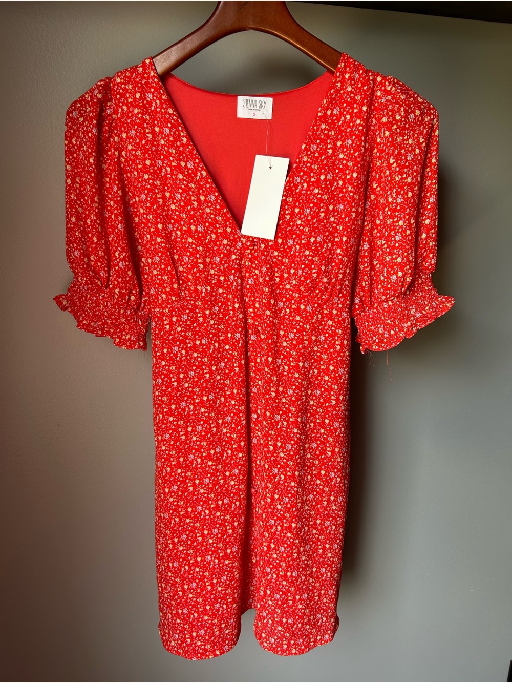 NWT Sienna Sky Red Floral V-Neck Mini Dress, sz small